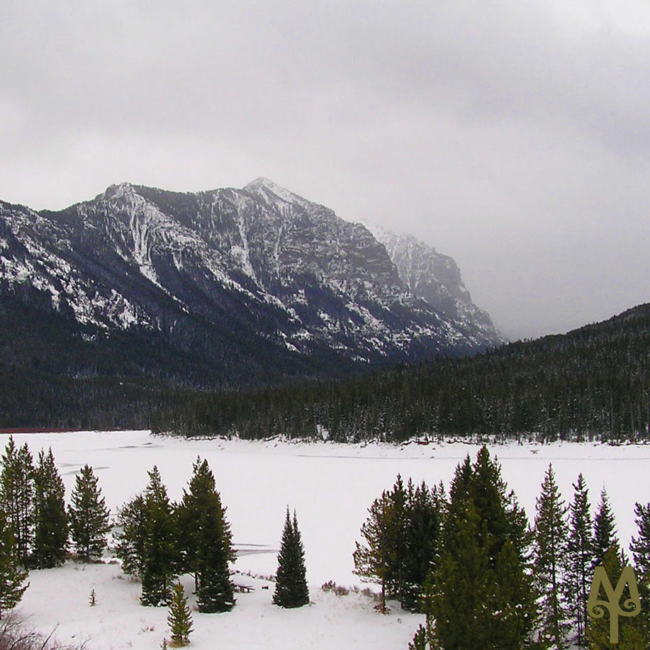 Montana Winter Wonderland