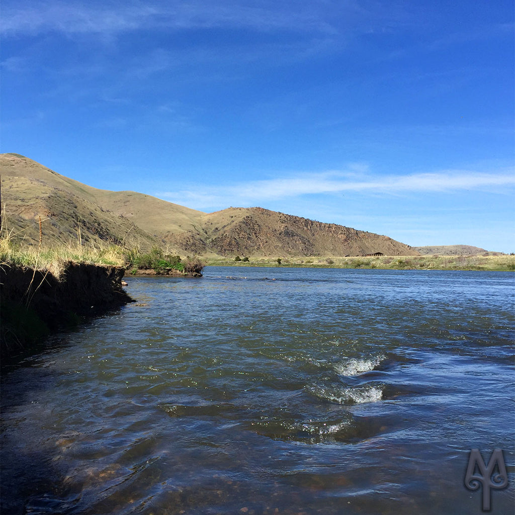 Lower Madison River, Water Level Is Rising