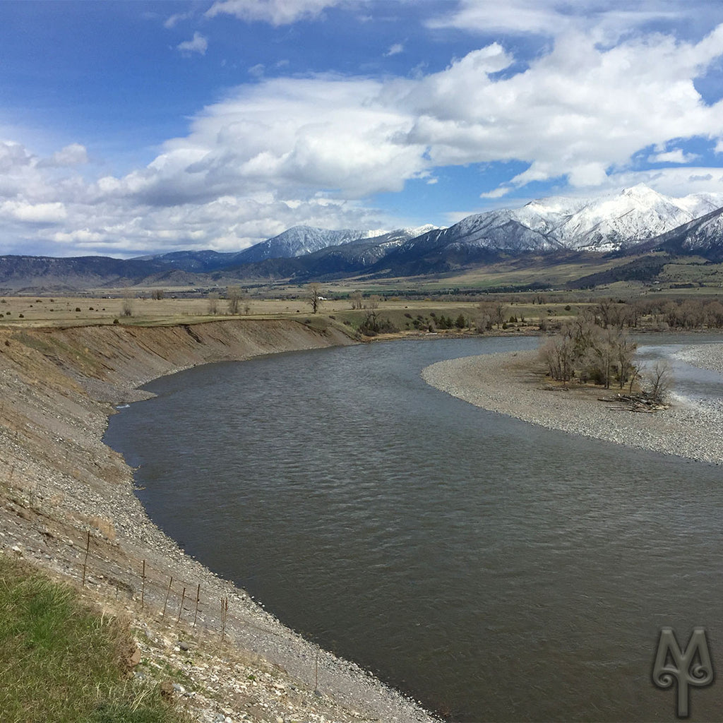 Coffee Color On The Yellowstone River