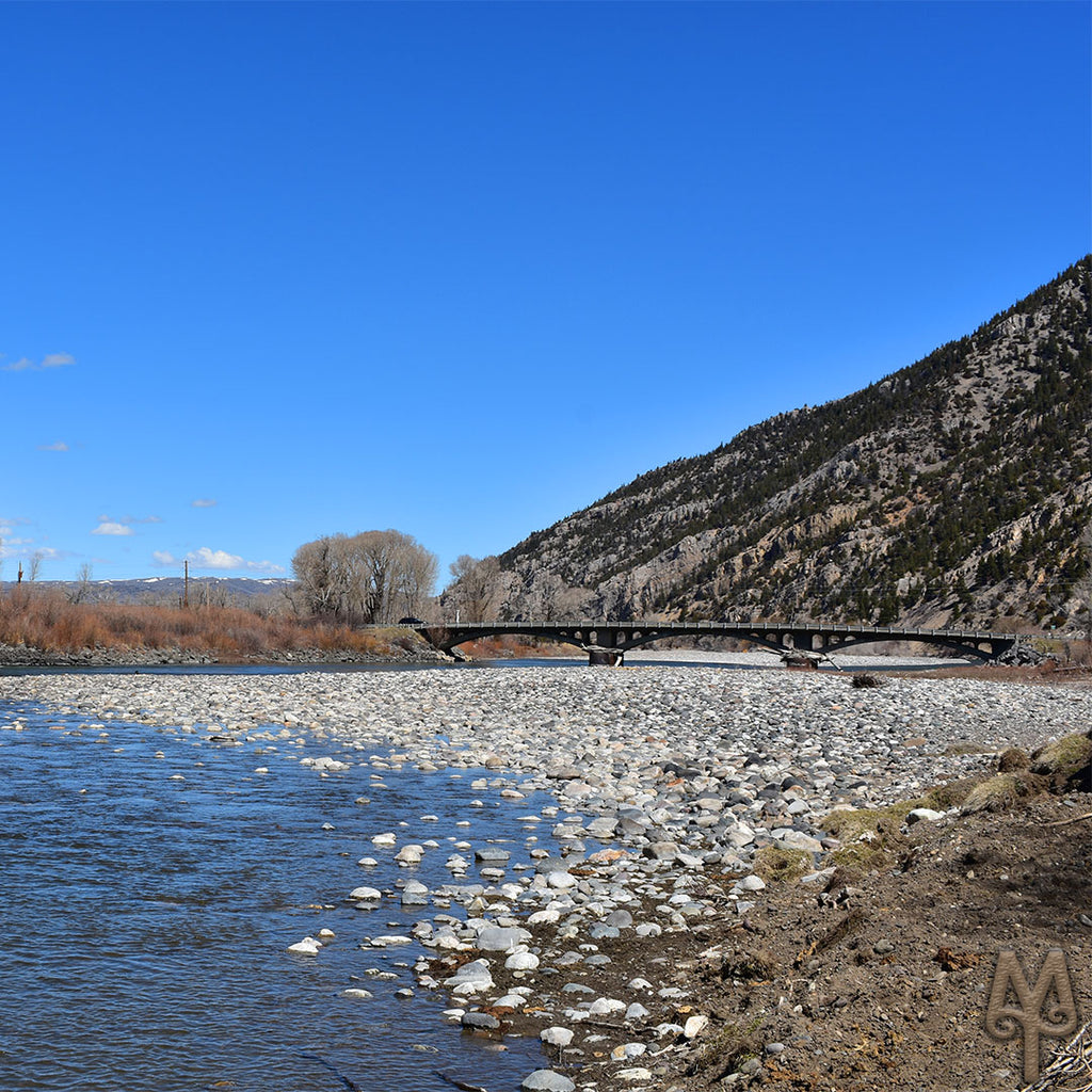 Carter's Bridge, Since 1921