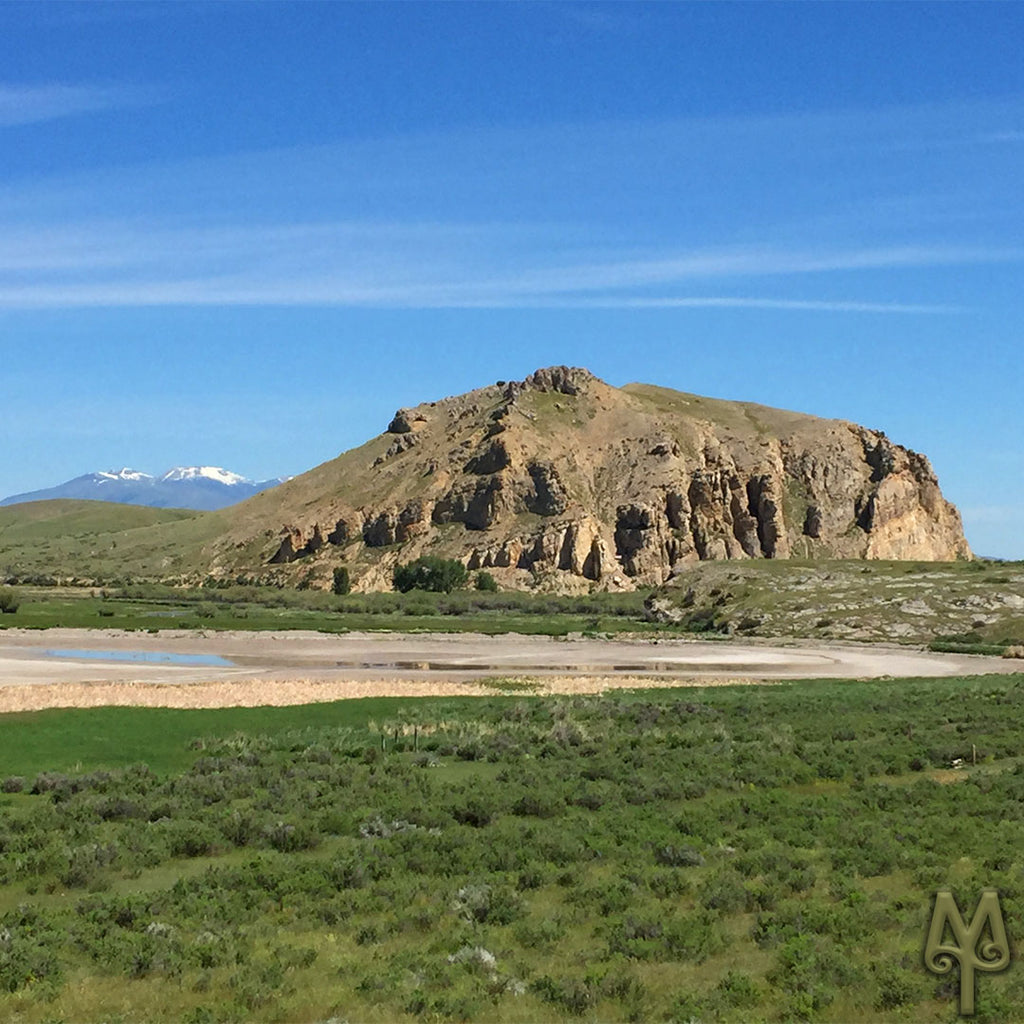 Beaver's Head Rock