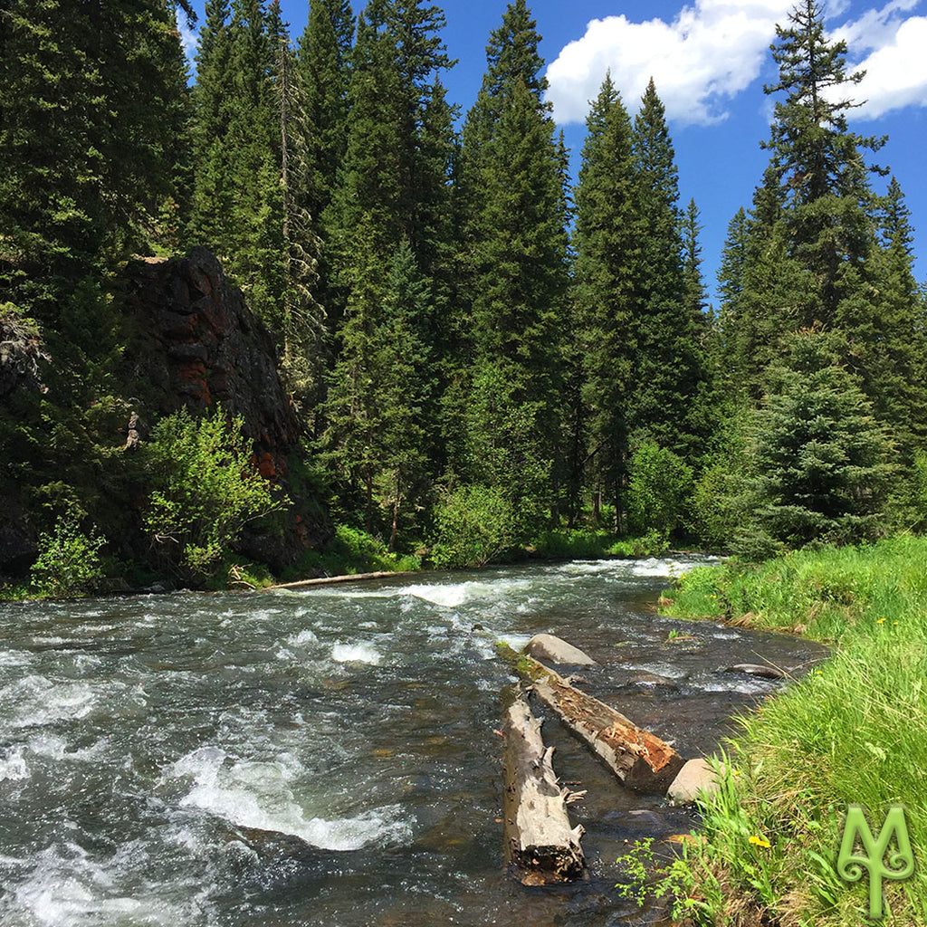 Weekend Camping In Bozeman's Backyard