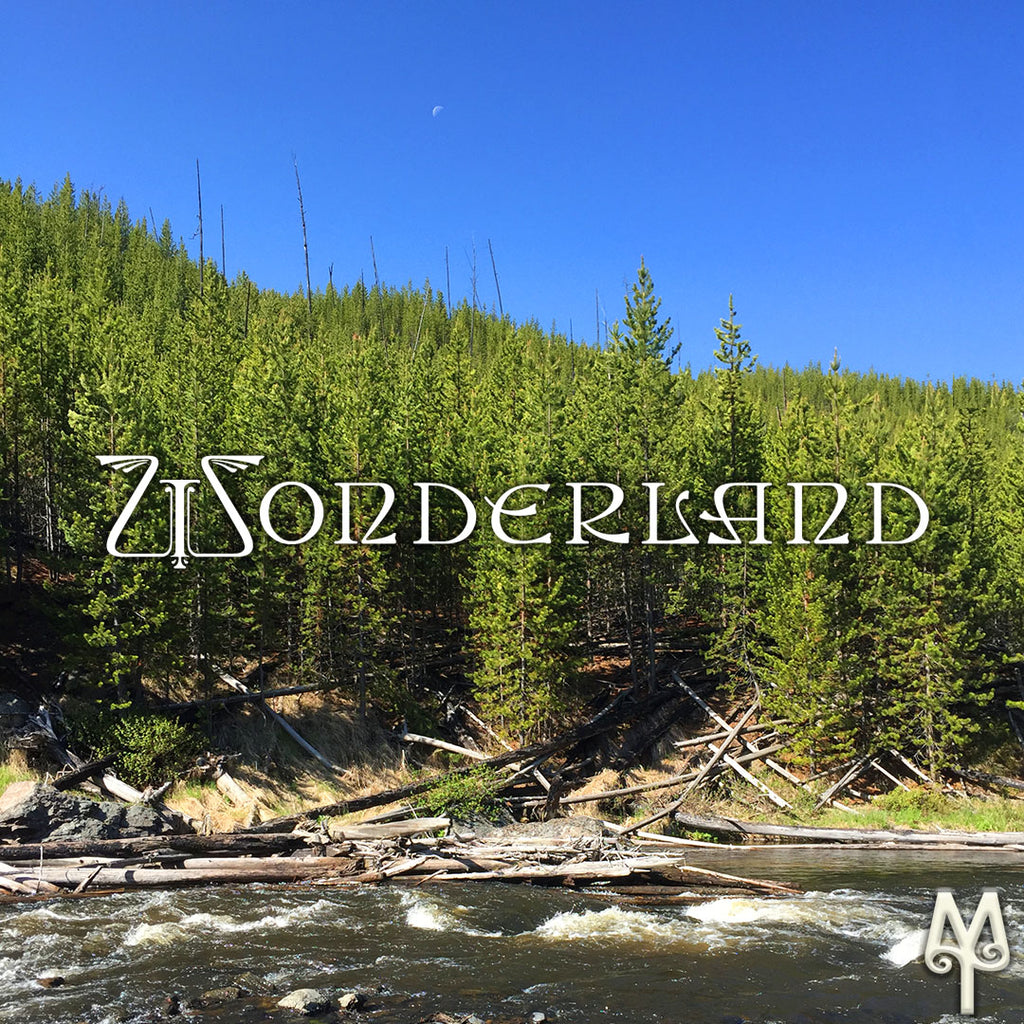 Fly Fishing Wonderland