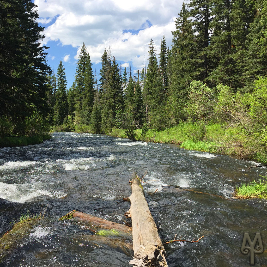 Fly Fishing Hyalite Creek