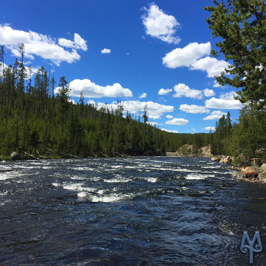 One Sunny Day On The Firehole River