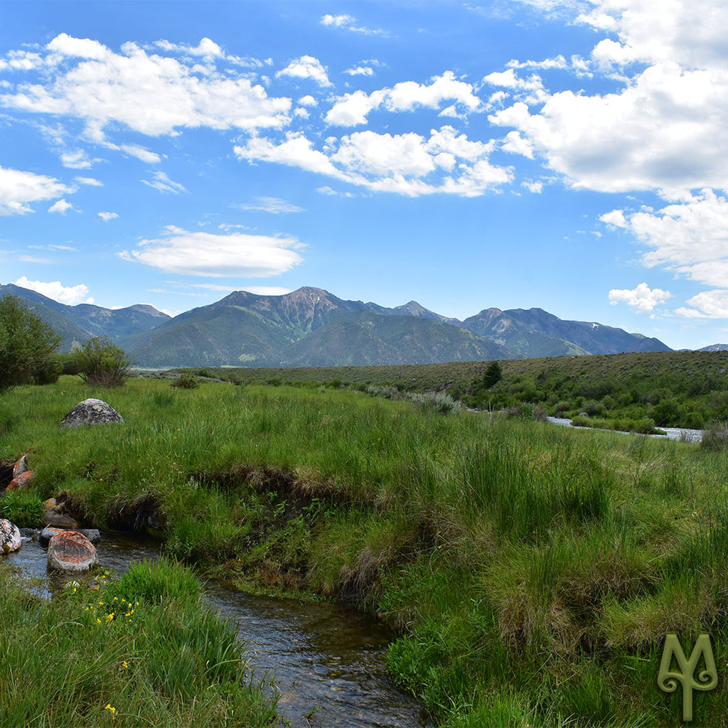 Hiking  and Fishing In The Green