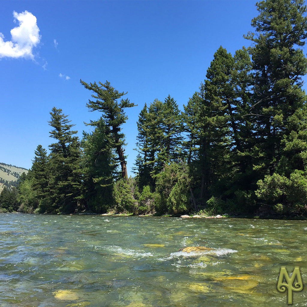 Crystal Clear Waters