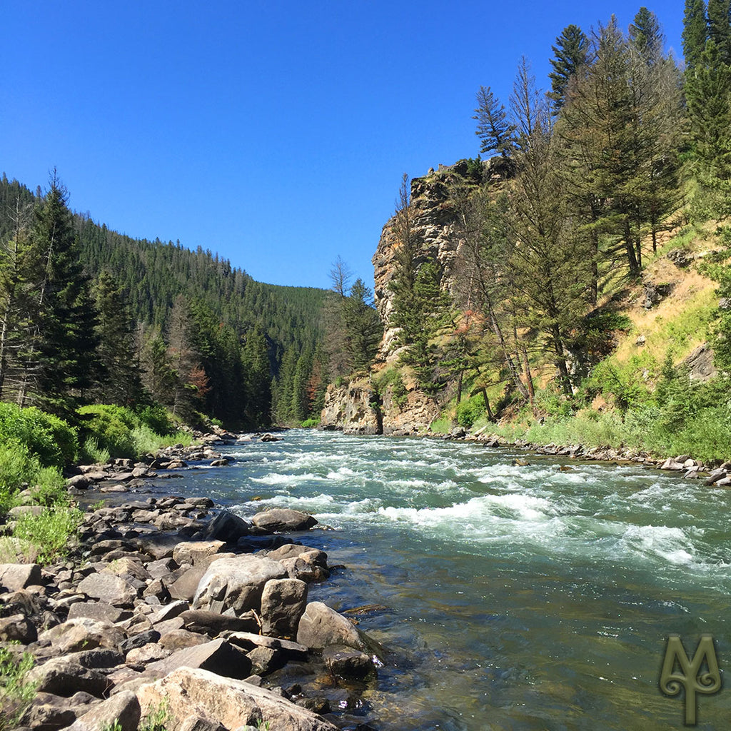 Gallatin River, Clear Again