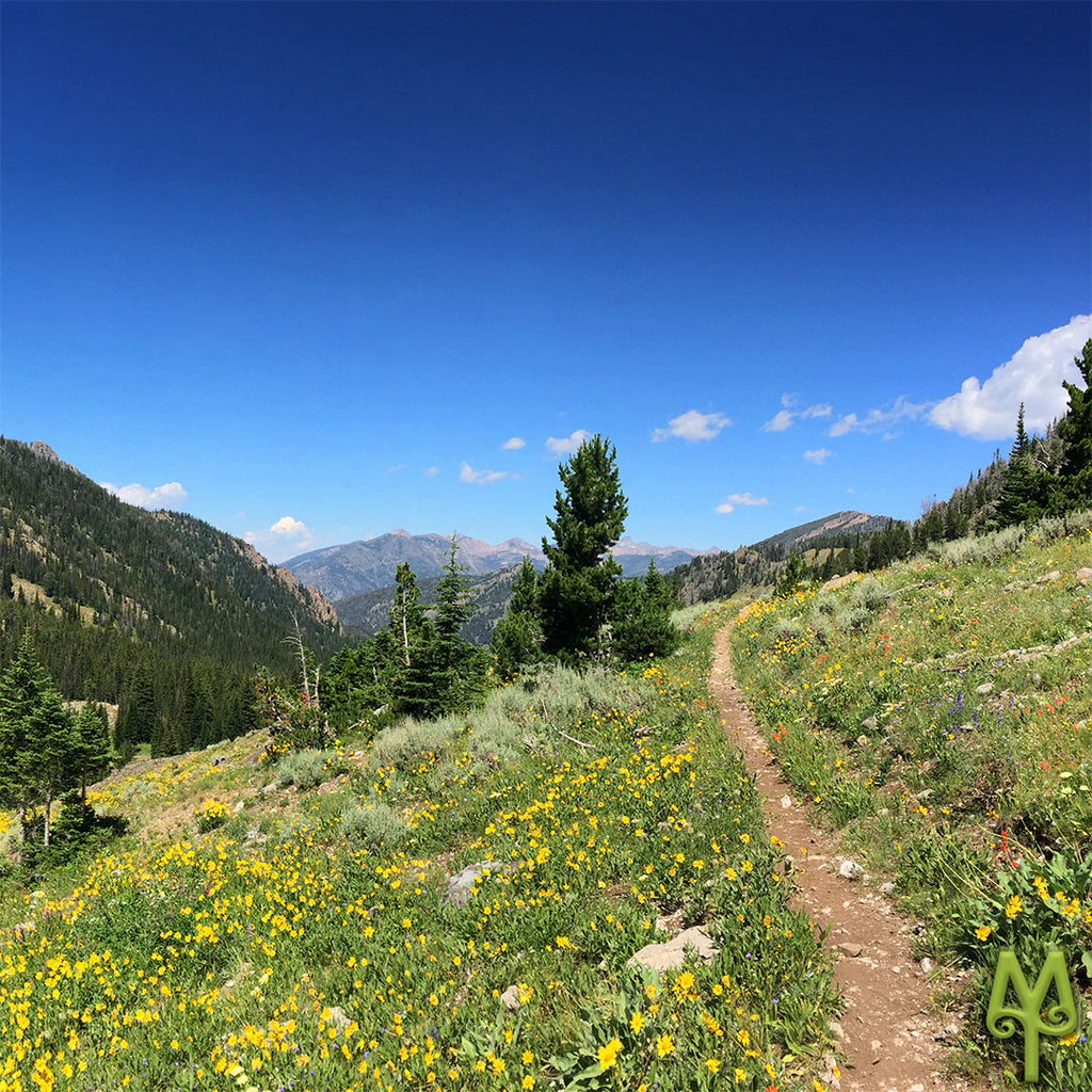 Sheep Lake Trail