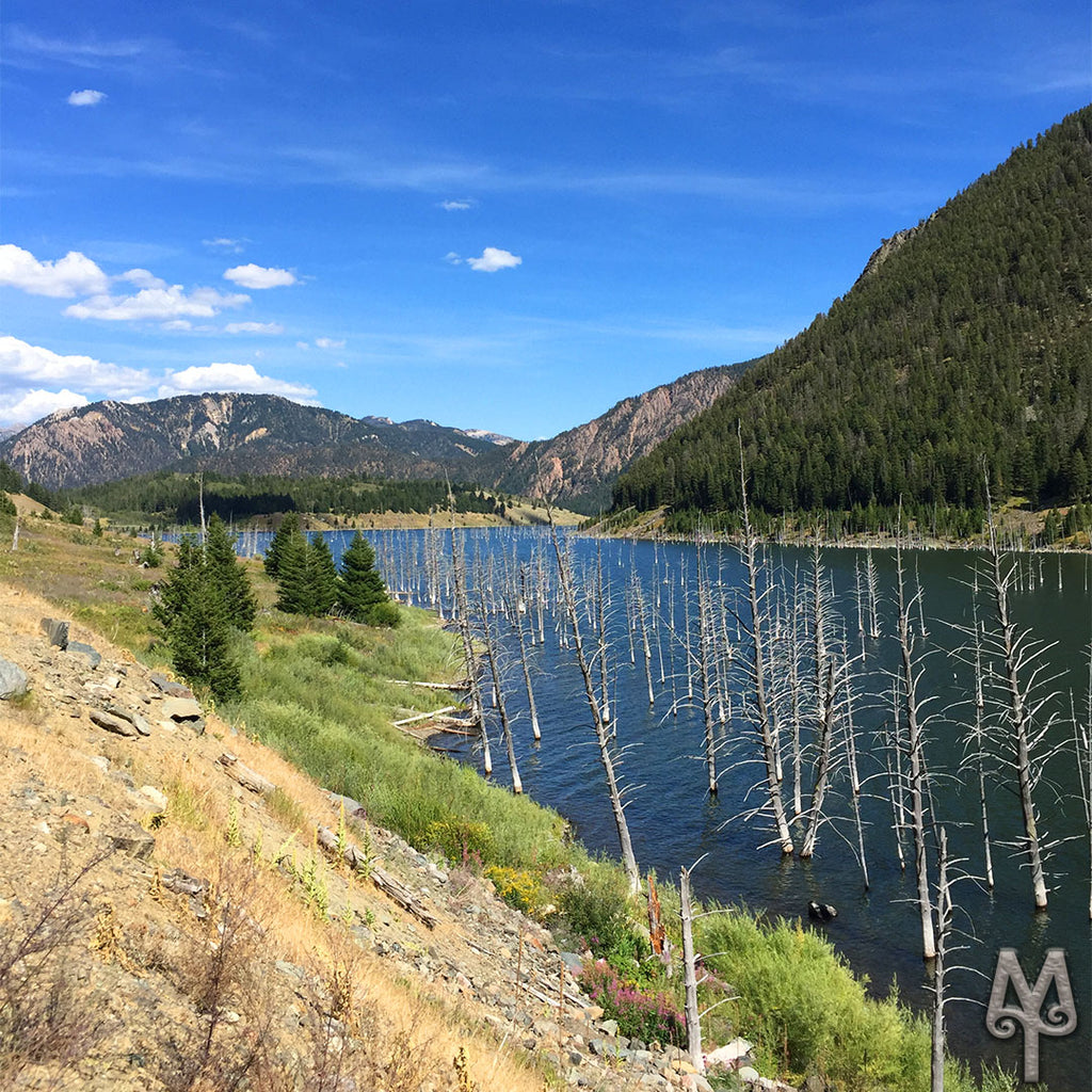 Earthquake Lake Anniversary