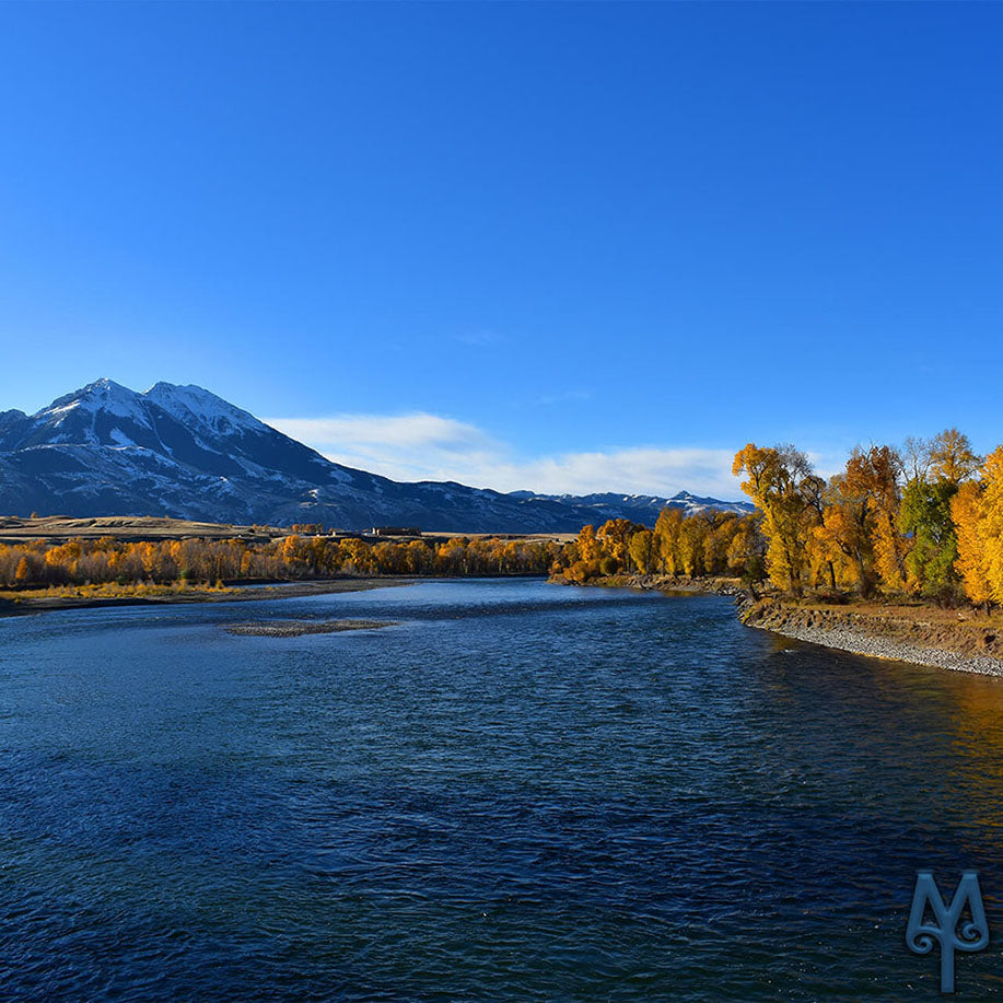 Fall For Montana