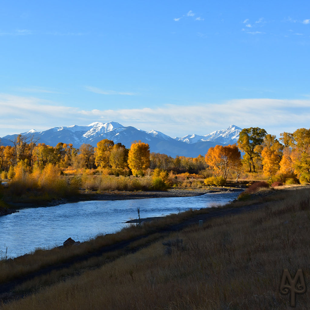 Fall Fly Fishing In Paradise