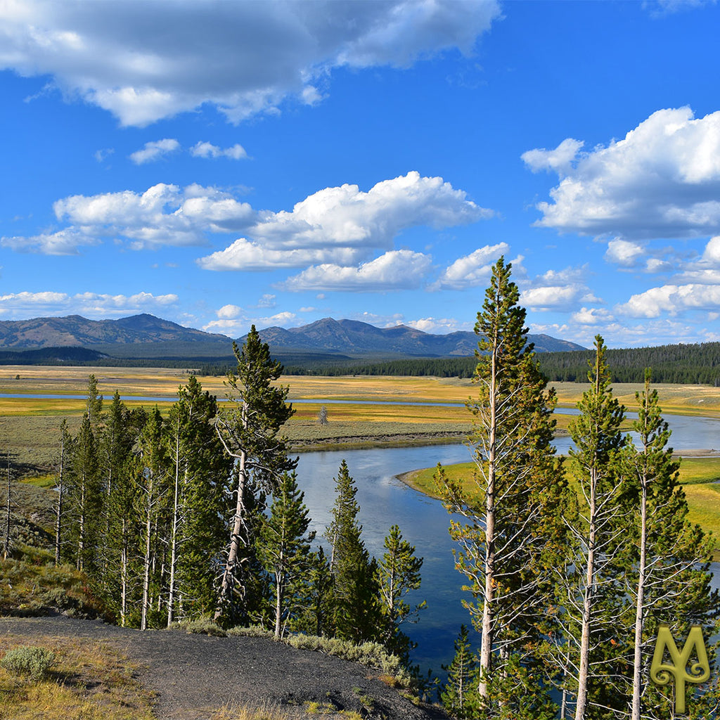 Summer Winds Down On Yellowstone National Park