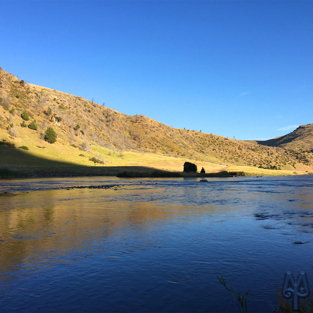 Labor Day Fishing