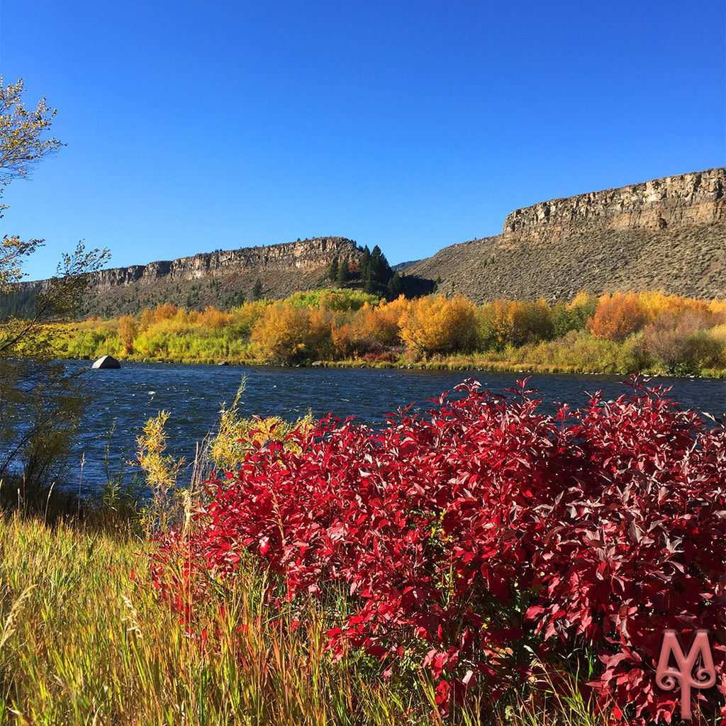 Fall Palisades