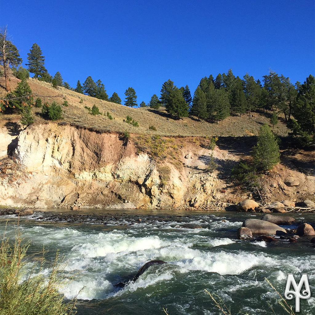 Yellowstone's Fall Colors