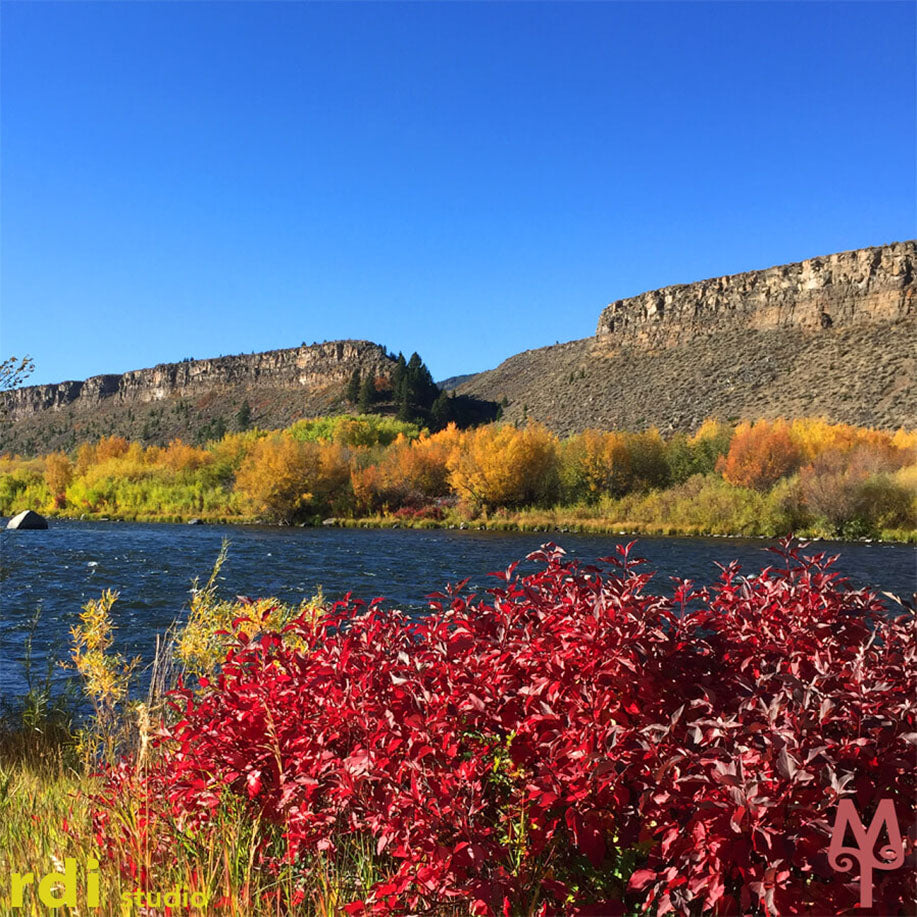 Fall On The Madison