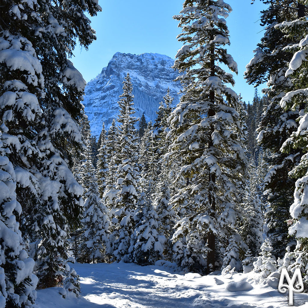 Winter Hiking