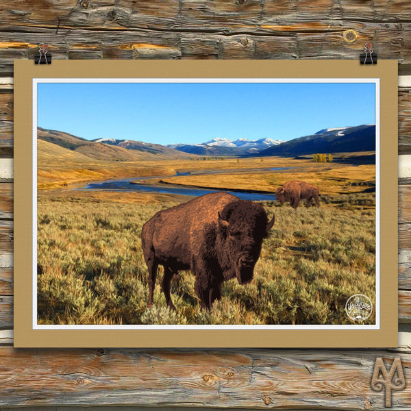 Yellowstone National Park, Bison, unframed poster